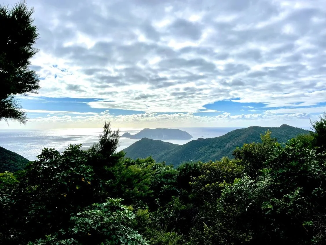 Great Barrier Island (1126X845).jpg