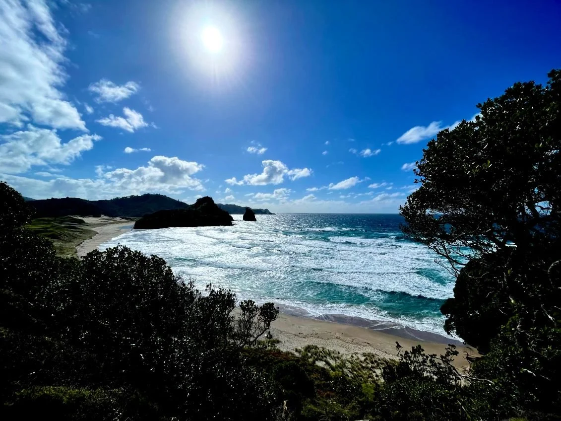 Great Barrier Island (1131X848).jpg