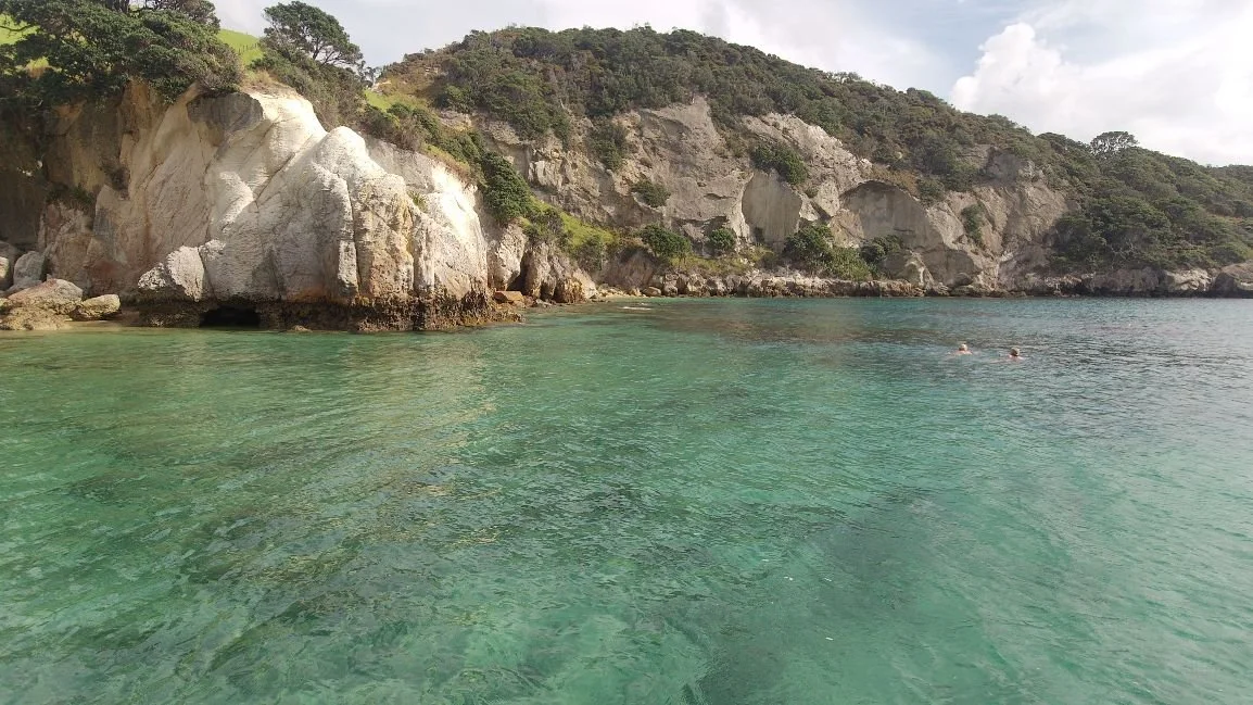 Great Barrier Island (1154X649).jpg