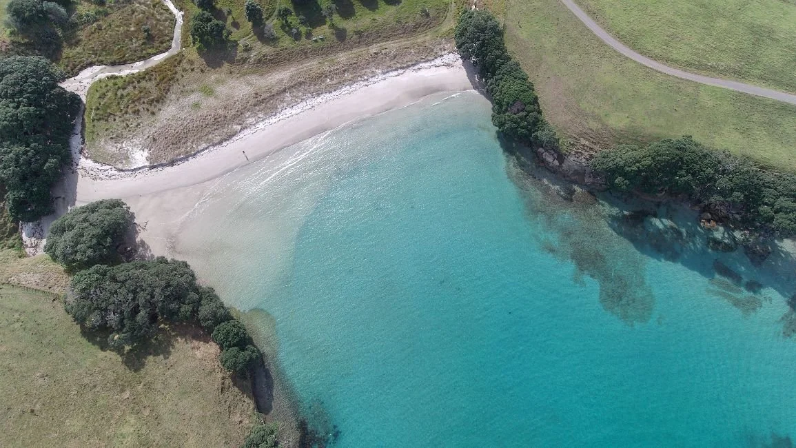 Great Barrier Island (1155X650).jpg