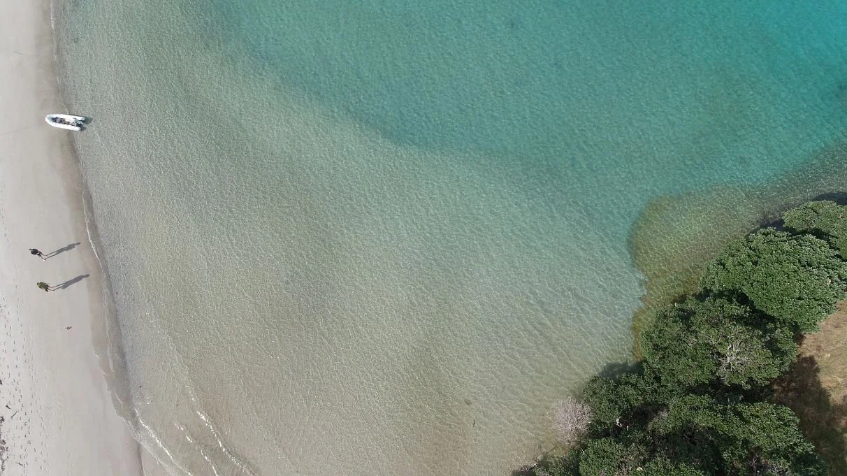 Great Barrier Island (1212X681).jpg