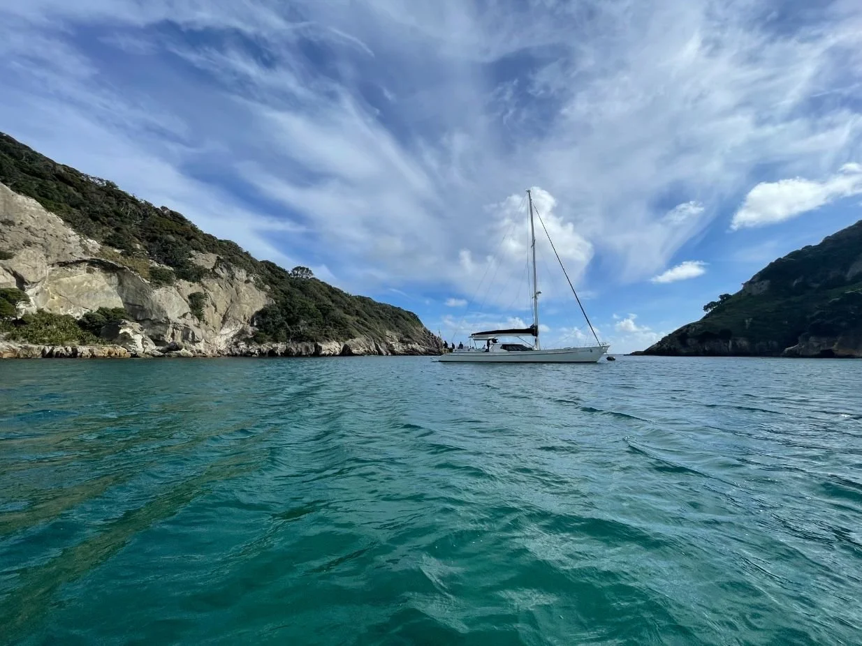 Great Barrier Island (1234X926).jpg