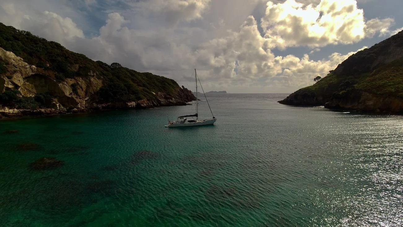 Great Barrier Island (1301X732).jpg