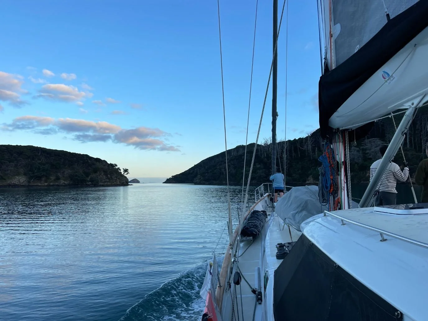 Great Barrier Island (1376X1032).jpg