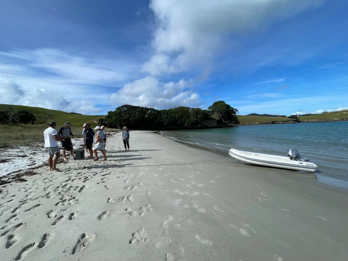 Great Barrier Island (1425X1069).jpg