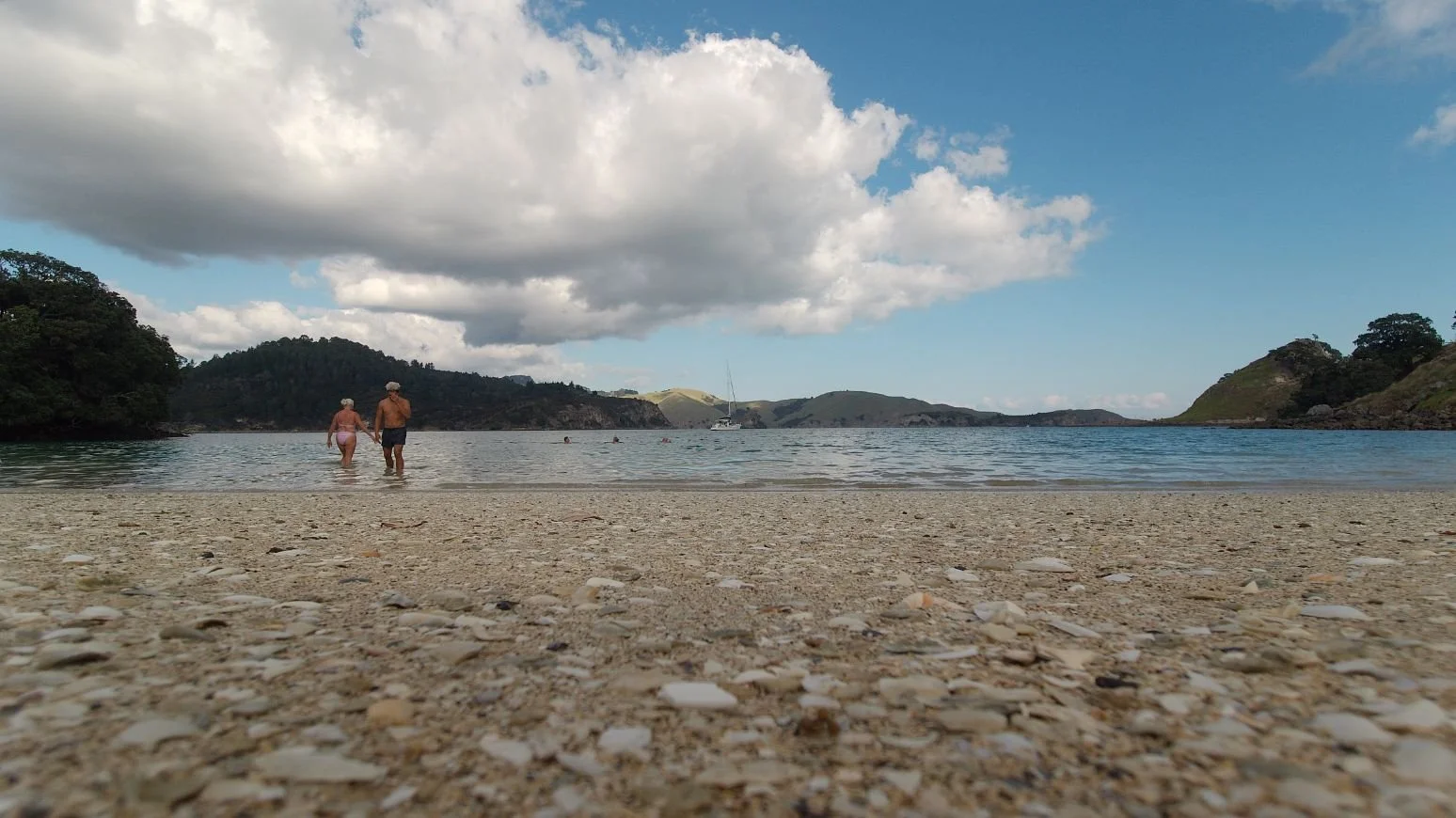 Great Barrier Island (1548X870).jpg