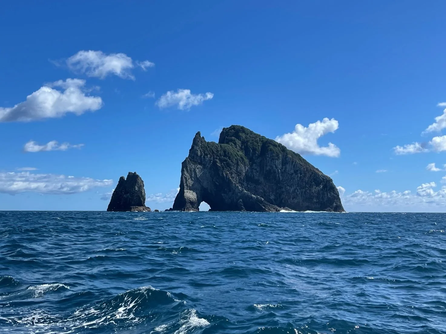 Hauraki Gulf Auckland Sailing (1473X1105).jpg
