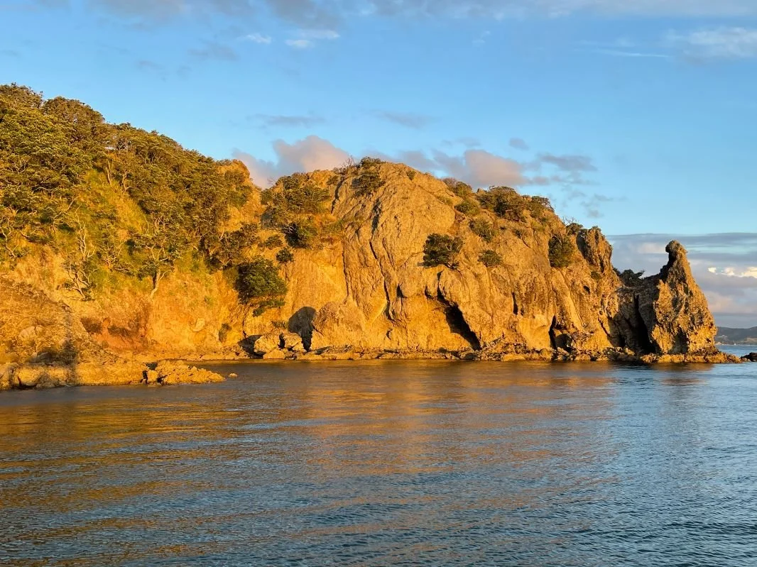 Hauraki Gulf Auckland Sailing (1066X799).jpg