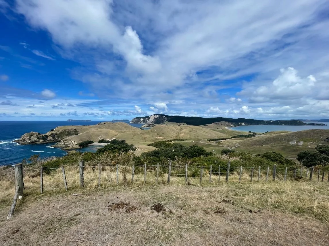 Hauraki Gulf Auckland Sailing (1145X858).jpg