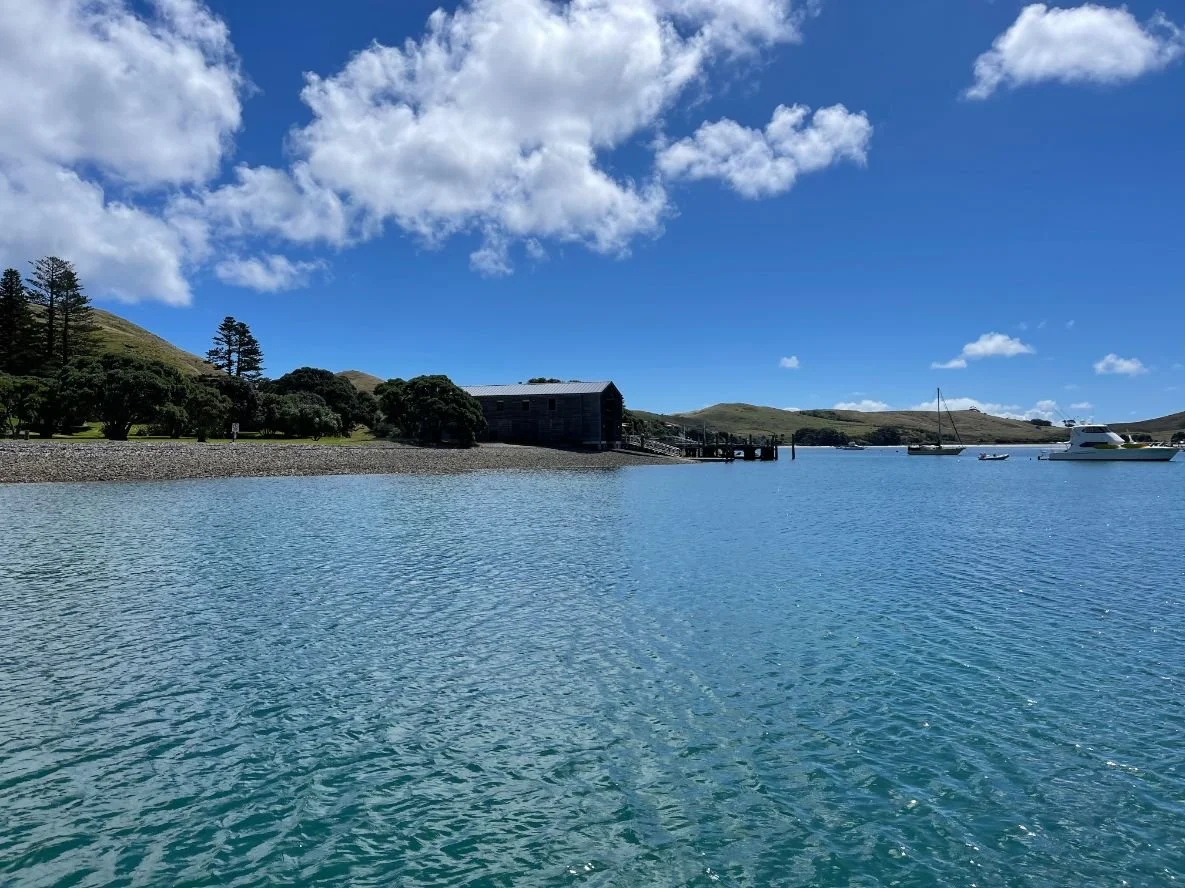 Hauraki Gulf Auckland Sailing (1185X888).jpg