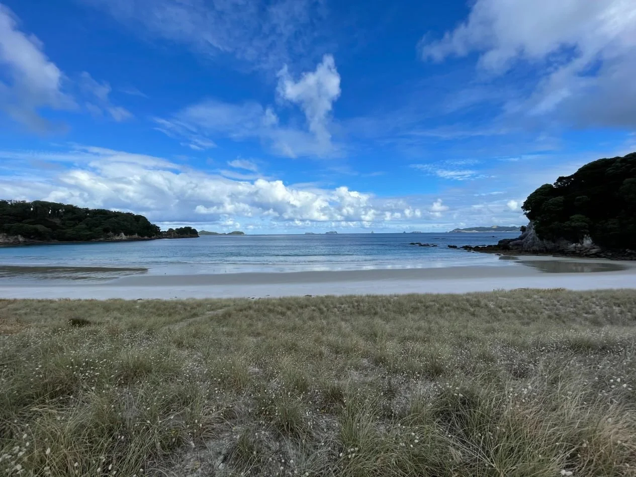 Hauraki Gulf Auckland Sailing (1265X949).jpg