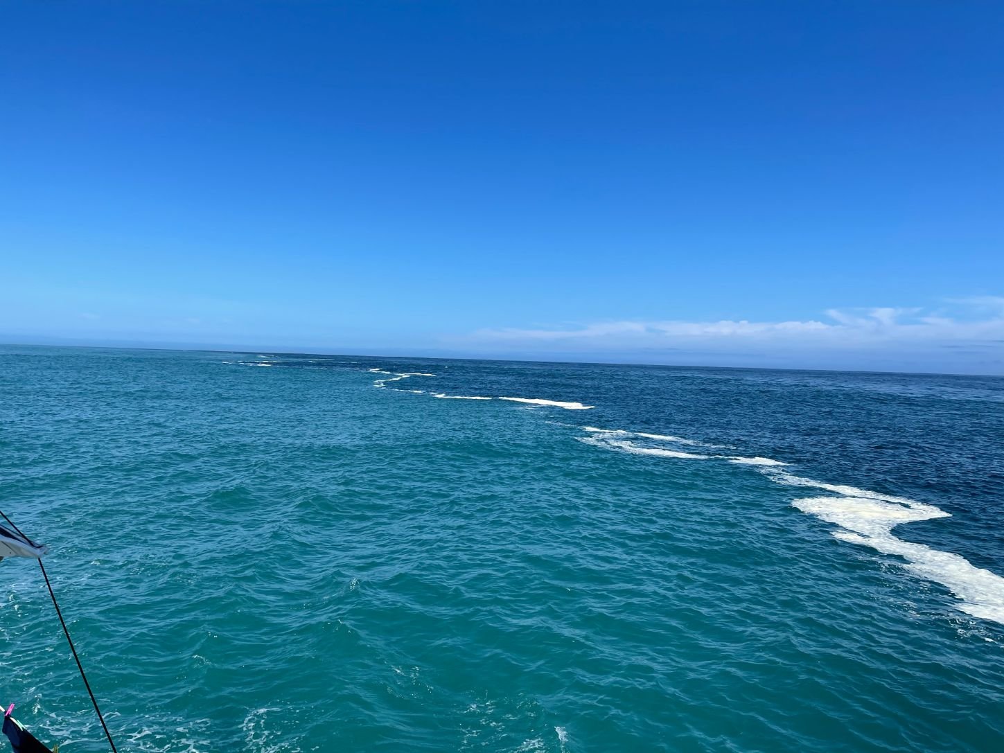 Hauraki Gulf Auckland Sailing (1449X1087).jpg