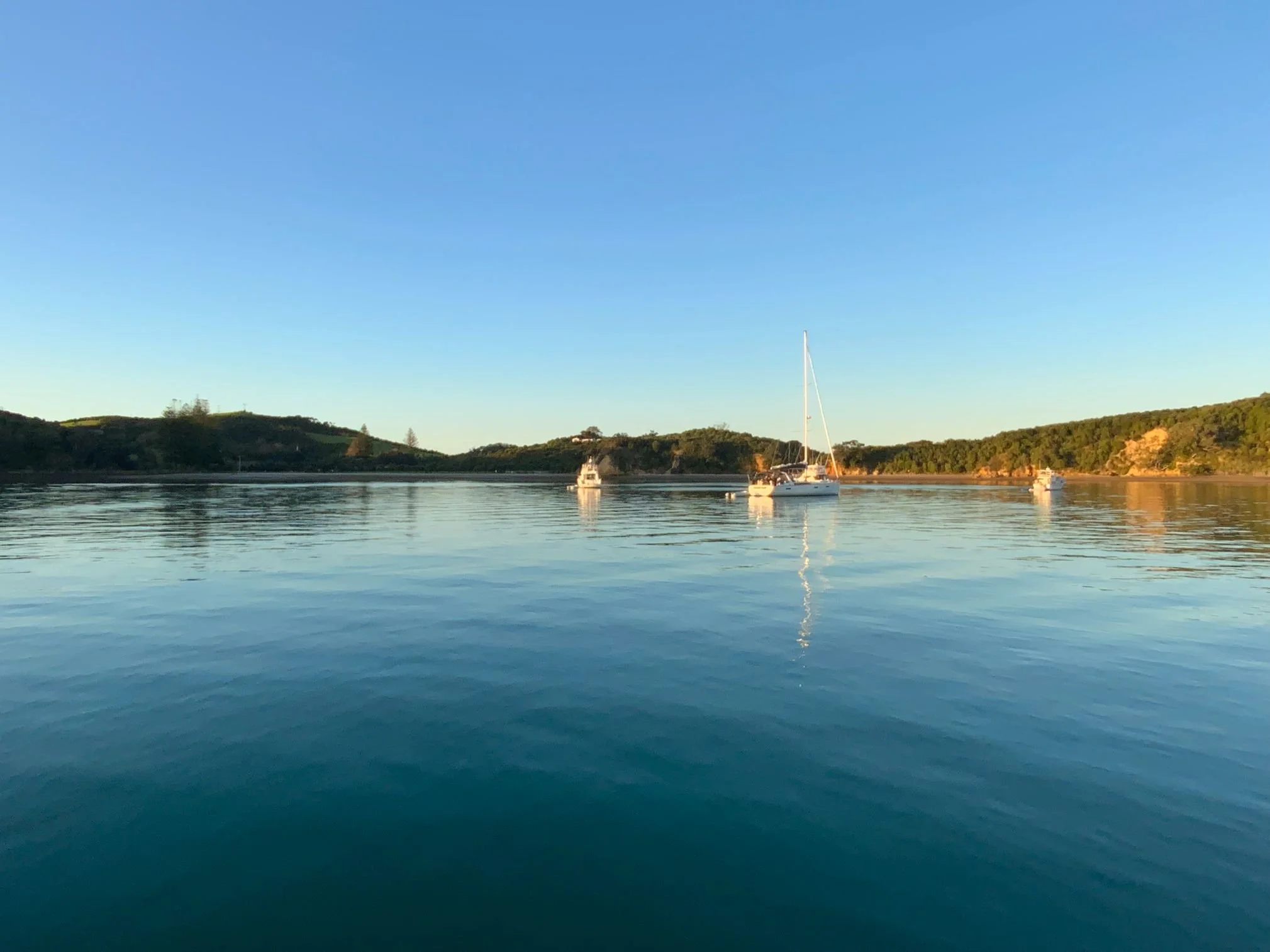 Great Barrier Island (2019X1514).jpg