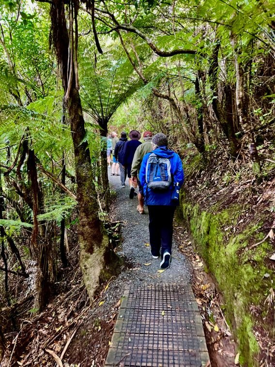 Great Barrier Island (568X758).jpg