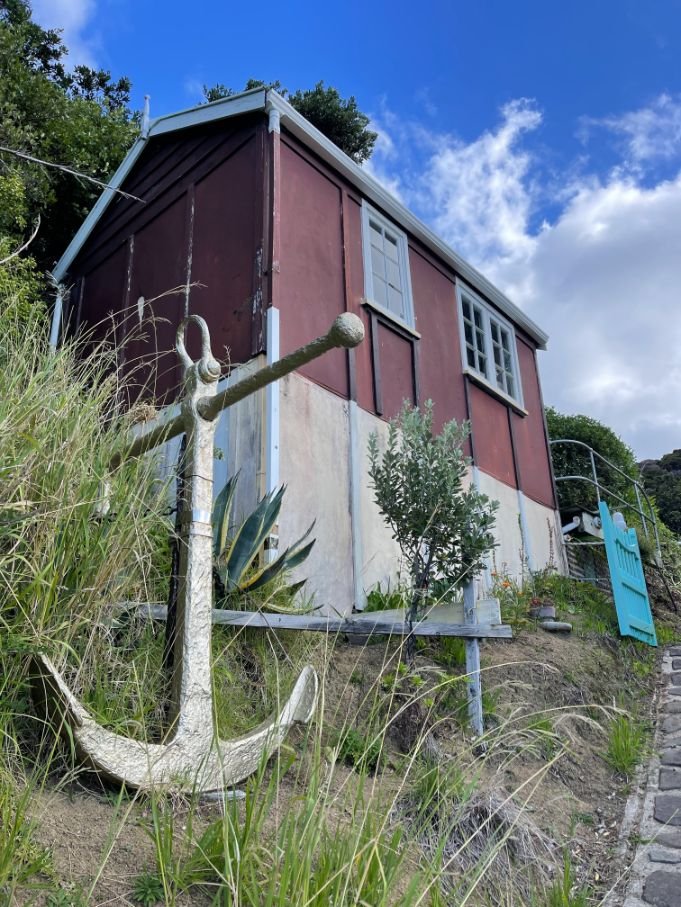Great Barrier Island (681X907).jpg