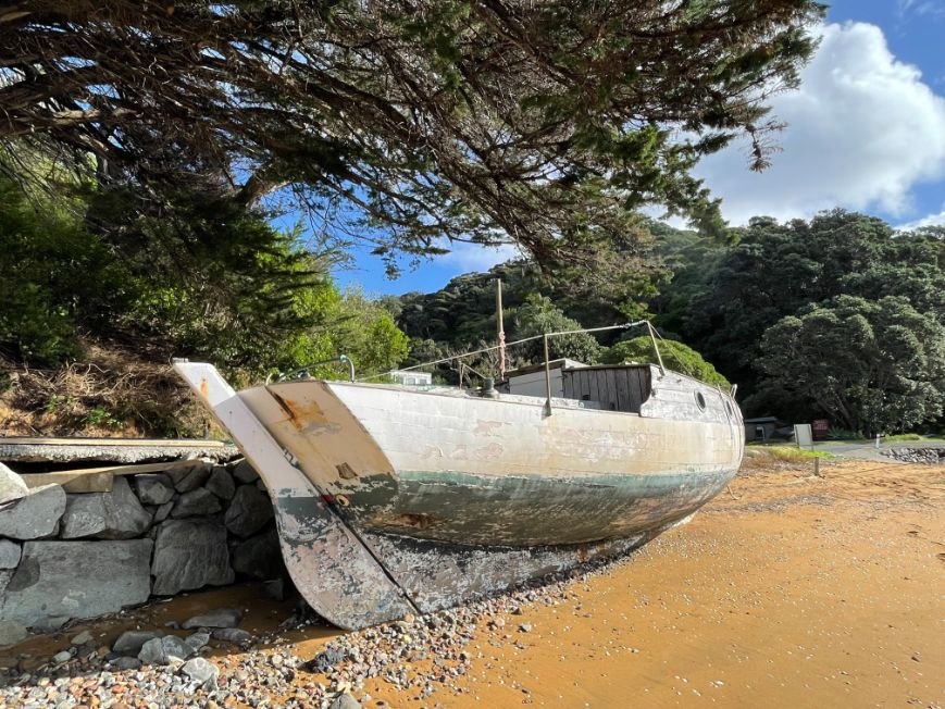 Great Barrier Island (869X652).jpg