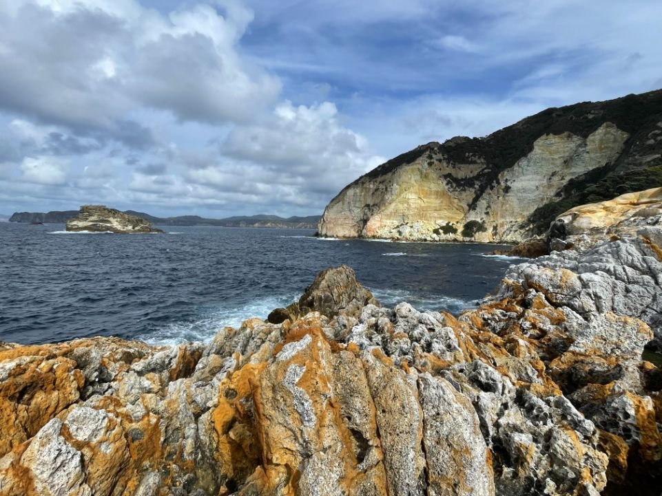 Great Barrier Island (961X721).jpg