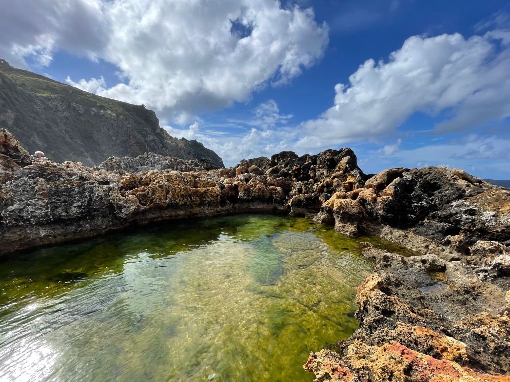 Great Barrier Island (1021X765).jpg