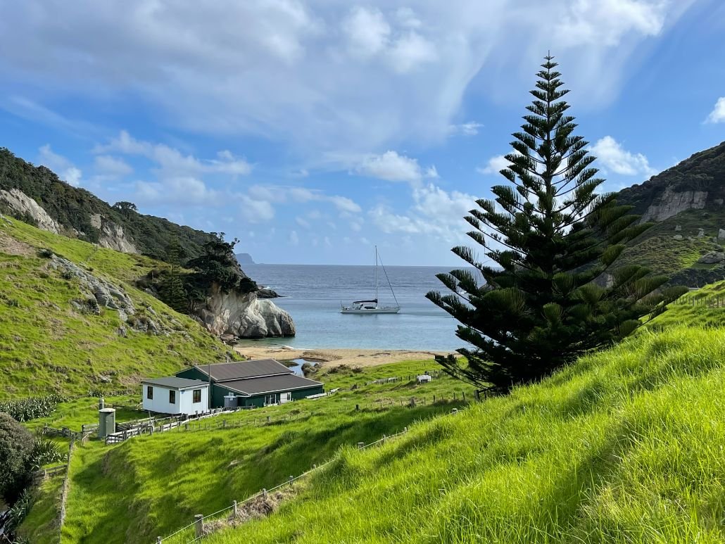 Great Barrier Island (1030X773).jpg