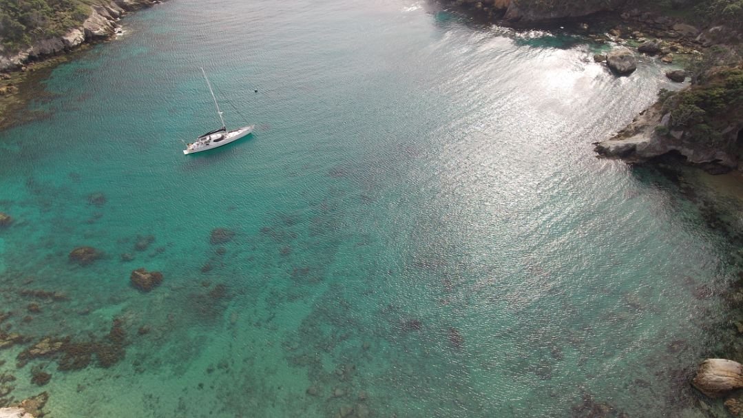 Great Barrier Island (1079X607).jpg