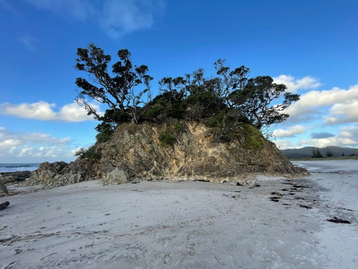 Great Barrier Island (1160X871).jpg
