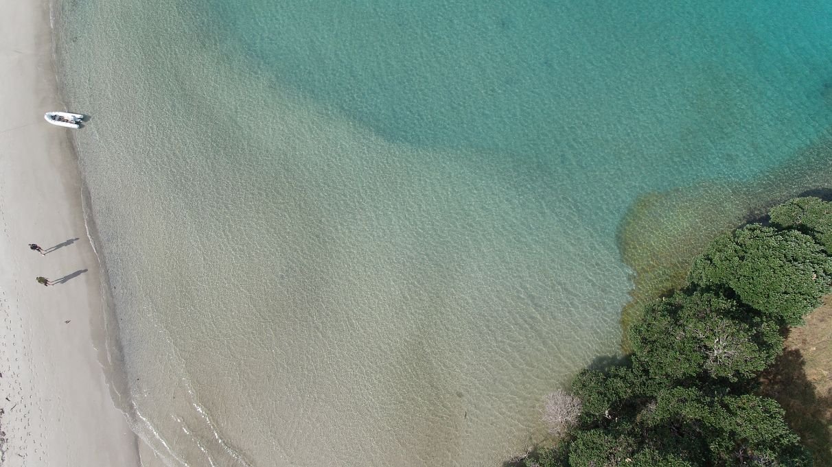Great Barrier Island (1212X681).jpg