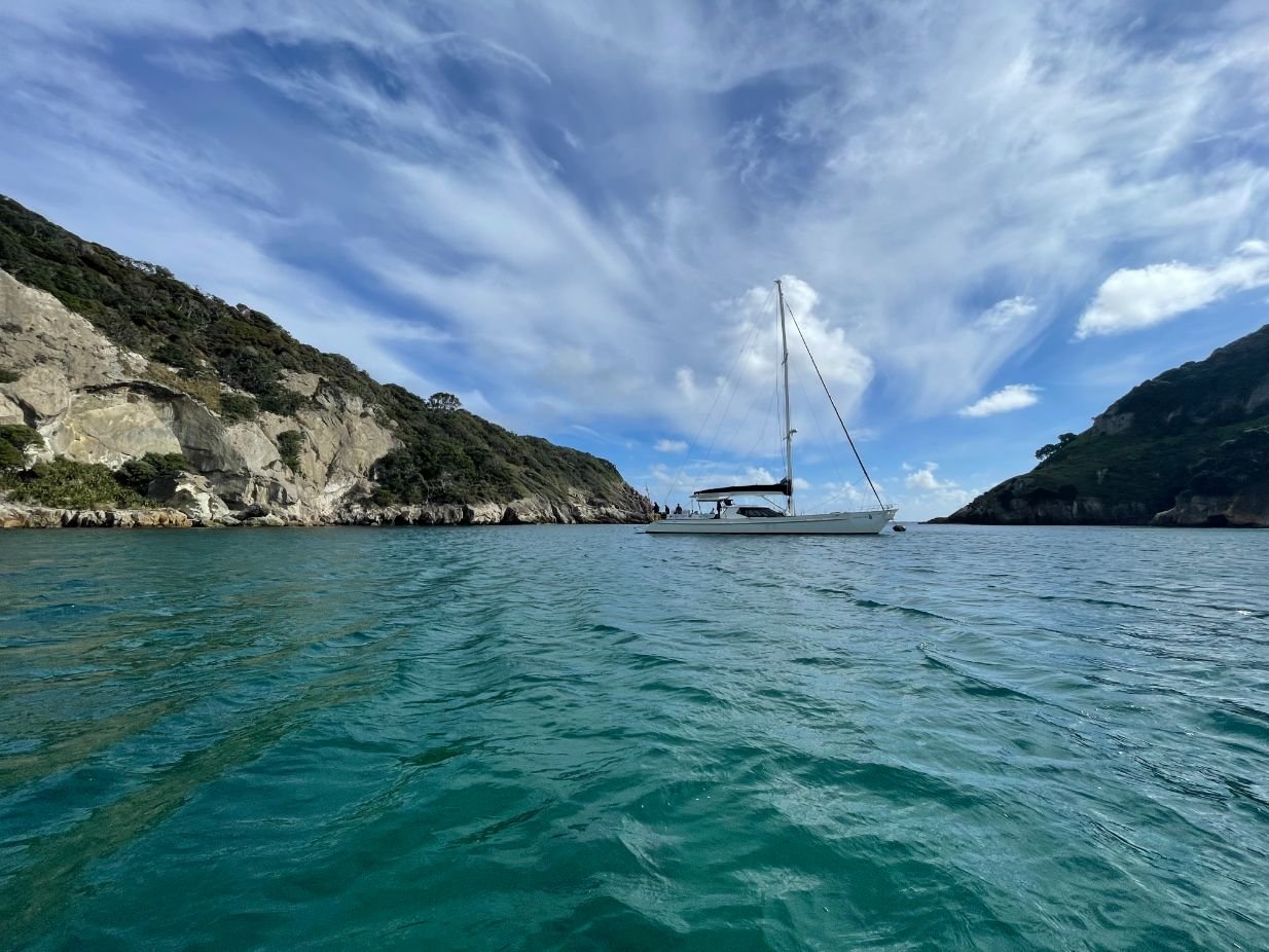 Great Barrier Island (1234X926).jpg