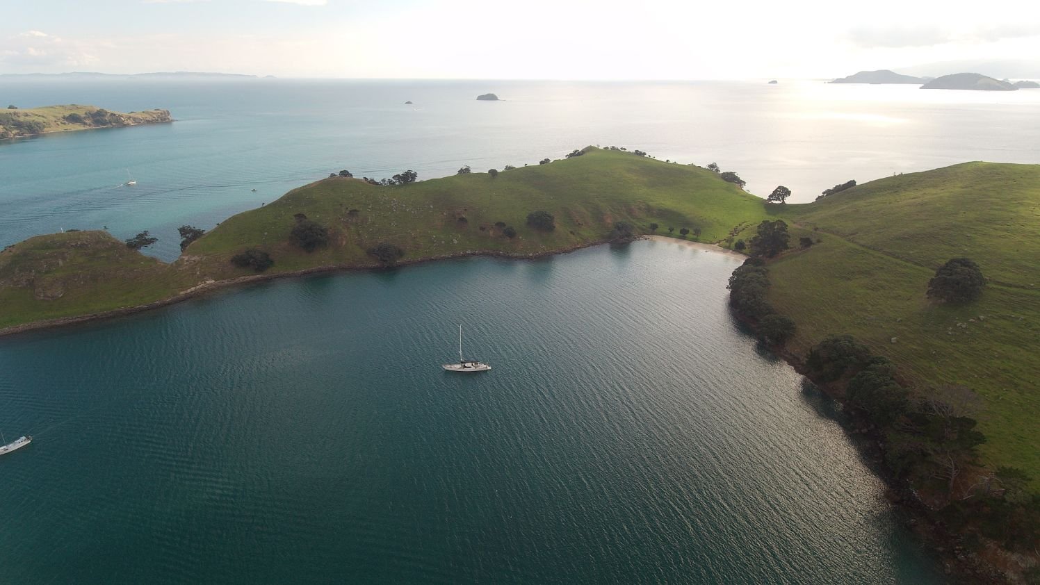 Great Barrier Island (1496X842).jpg