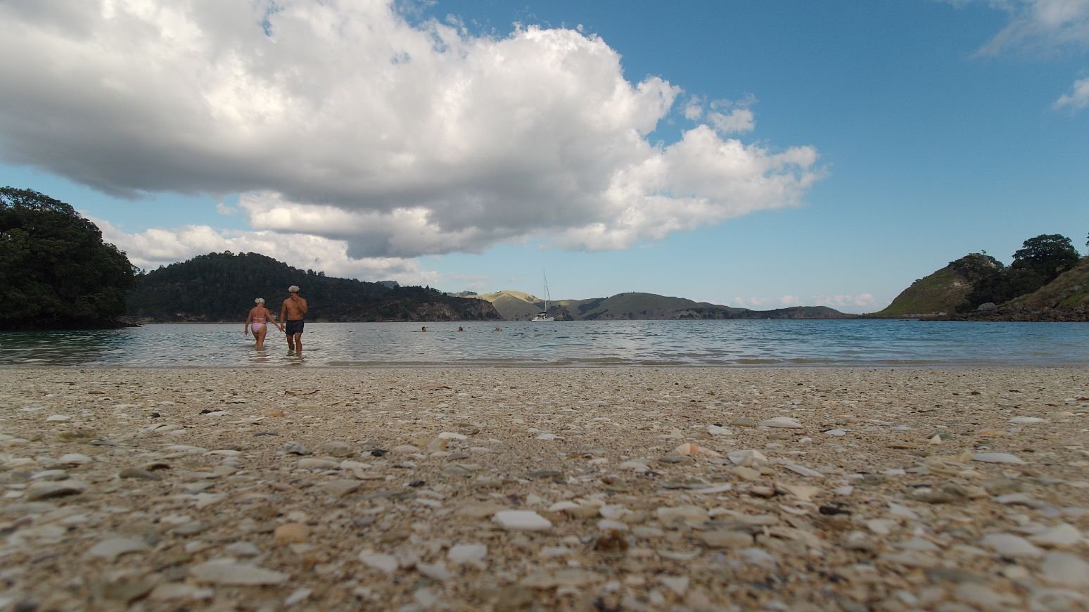 Great Barrier Island (1548X870).jpg