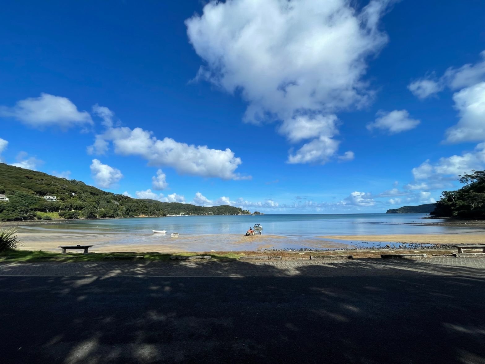 Great Barrier Island (1567X1175).jpg