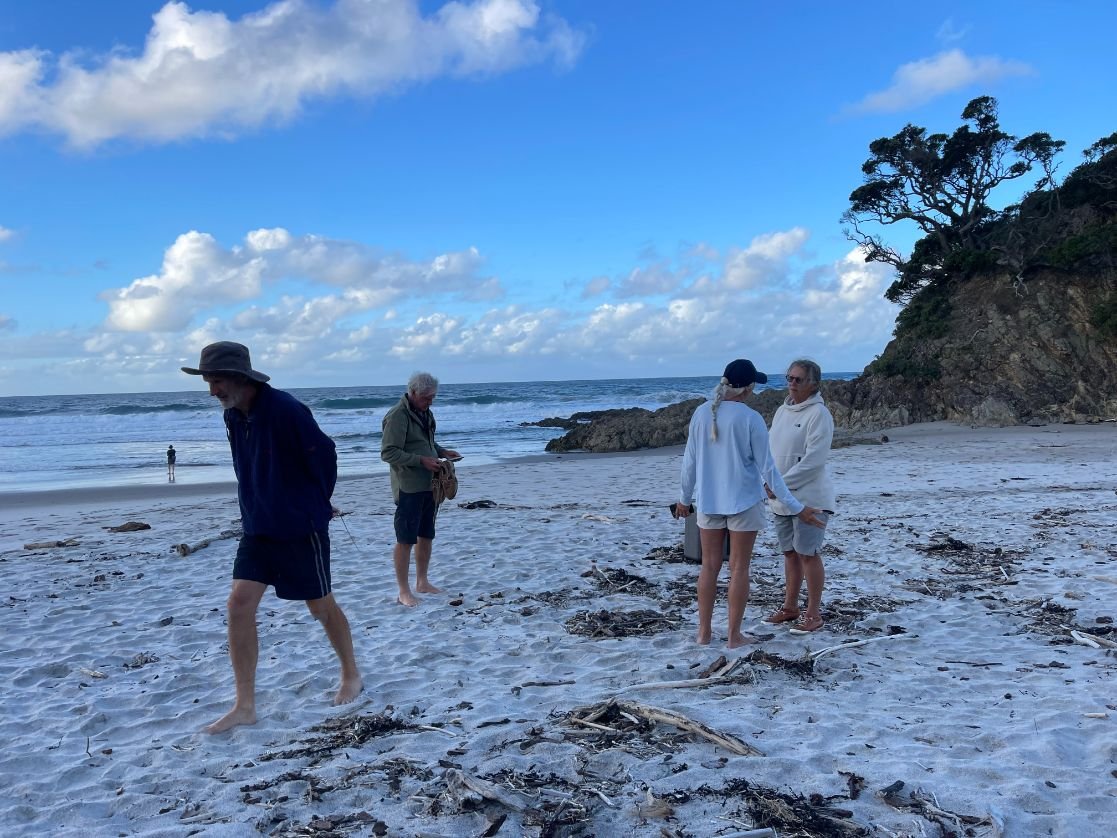 Great Barrier Island 2.jpg