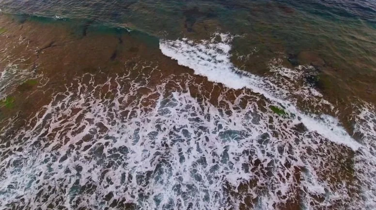 Minerva Reef(776X433).jpg