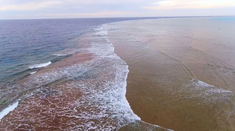 Minerva Reef(1001X559).jpg