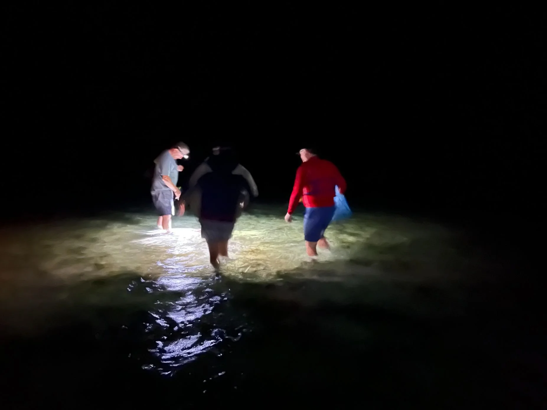 Minerva Reef(1853X1390).jpg