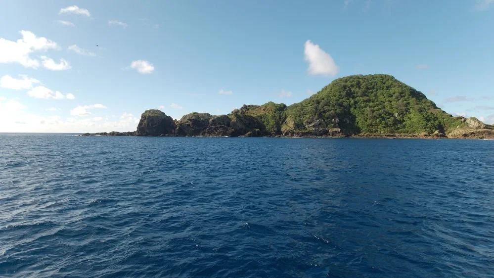 Raoul Island Kermadec Islands(999X562).jpg
