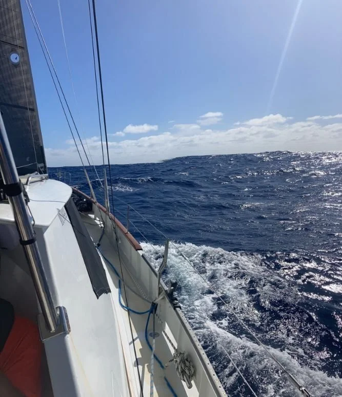 Sailing Opua New Zealand To Fiji (667X773).jpg