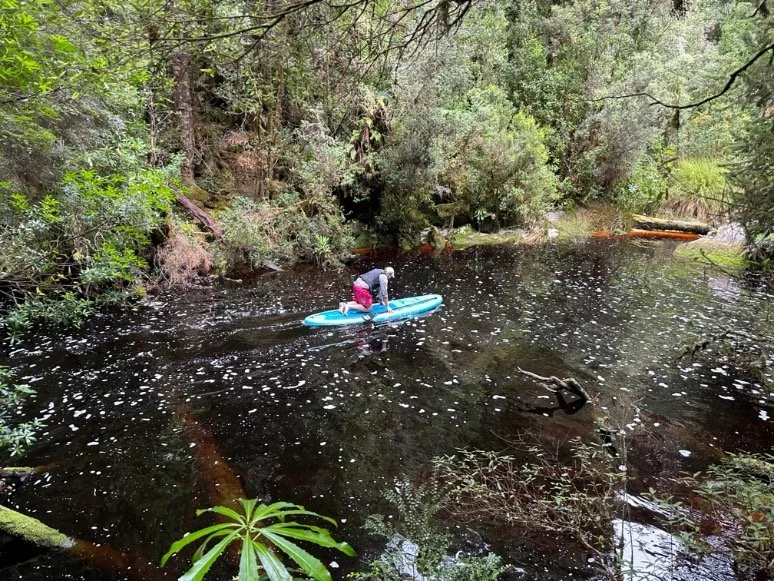 Learn To Sail_10.jpg