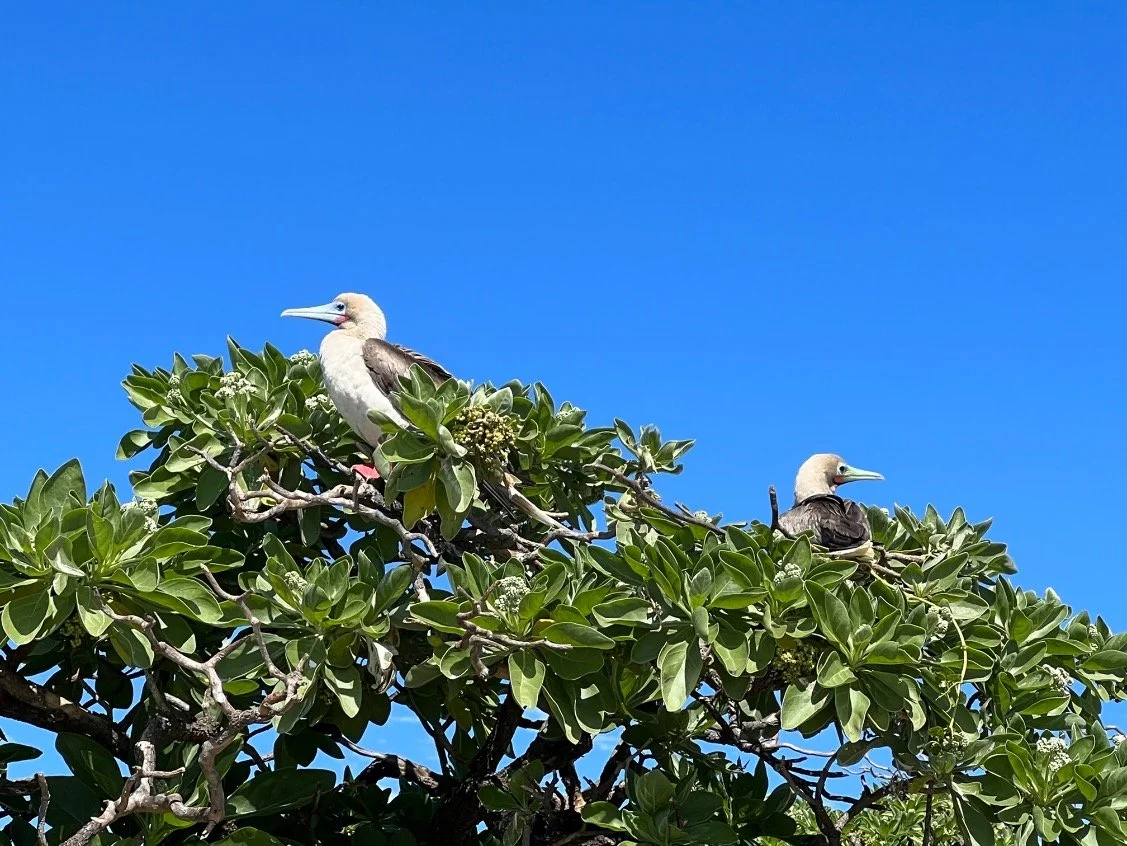 Travel Australia_37.jpg