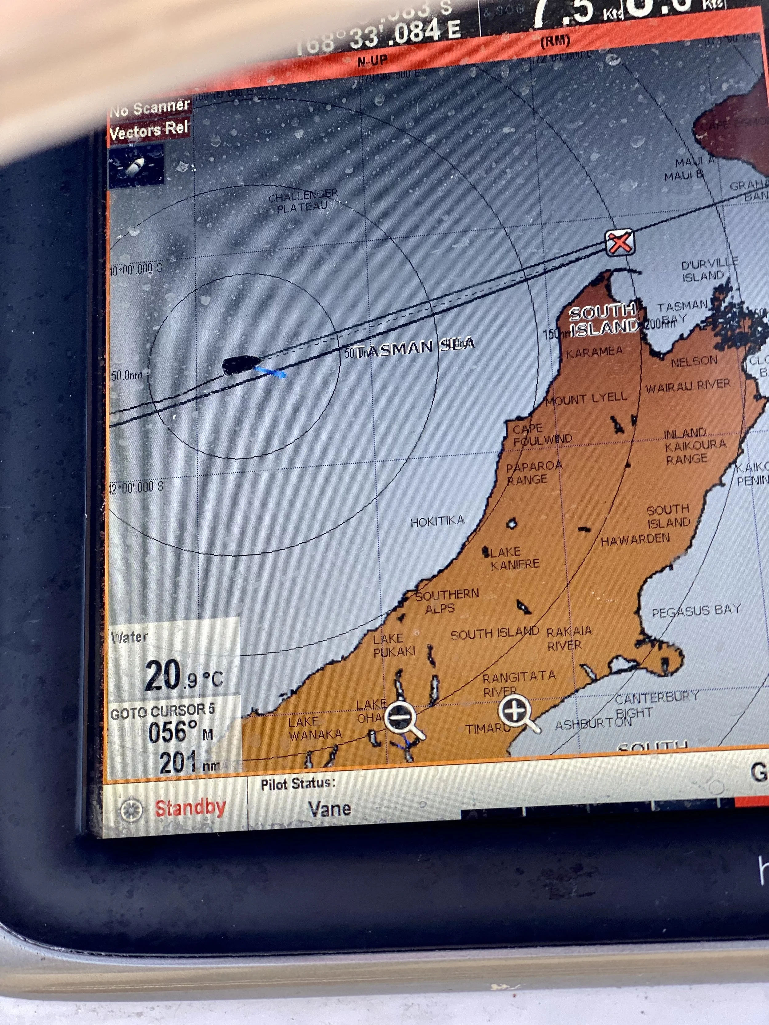 2F21A7E5-A3F4-4DF7-84DD-A66E04A7A378 Sarah Hadwin.jpeg