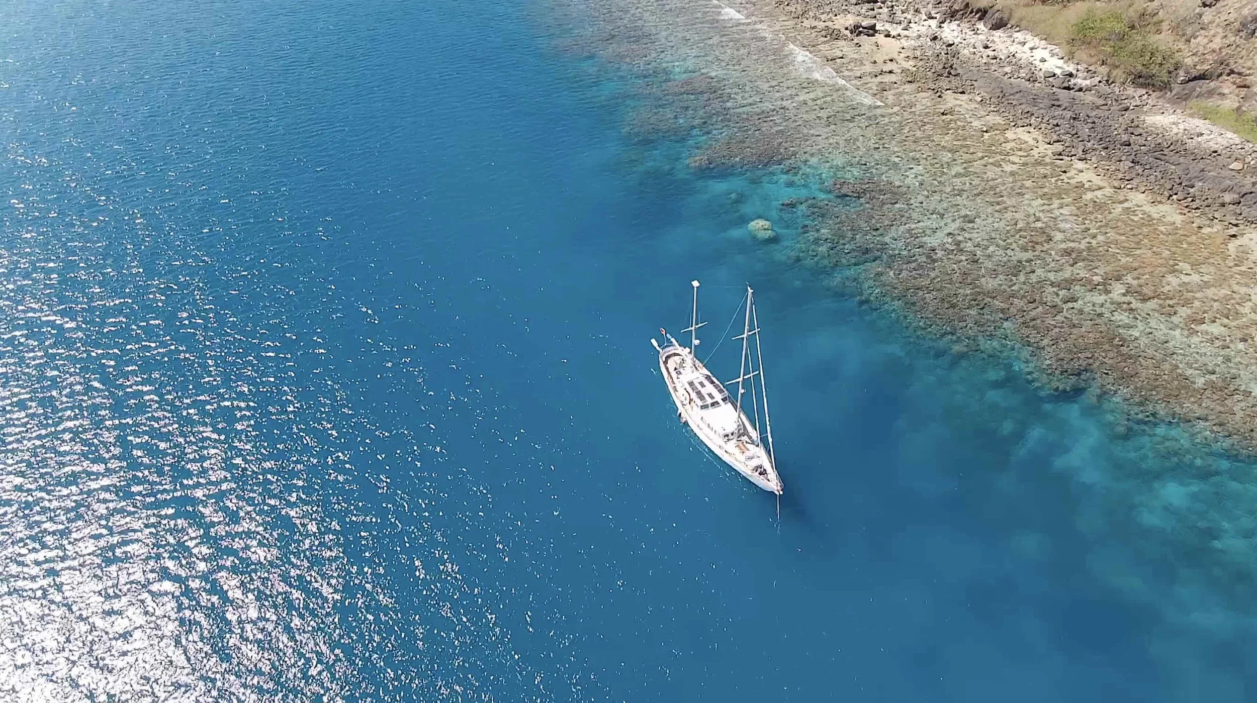 Thumbnail Fiji Webinar web.jpg