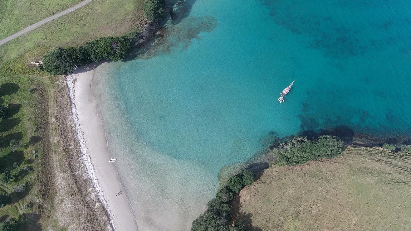 Hauraki Gulf Sailing Expedition 15.jpg