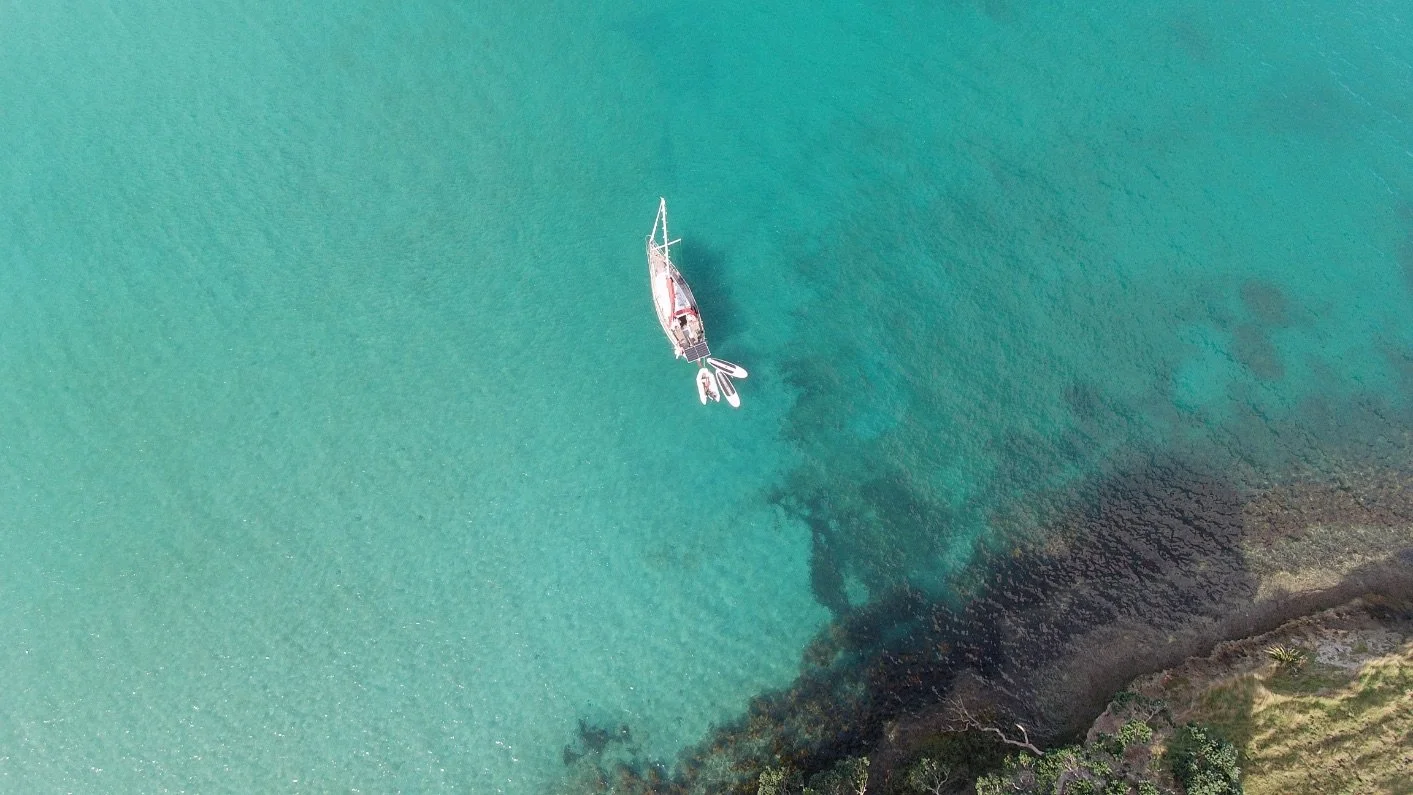 Hauraki Gulf Sailing Expedition 11.jpg