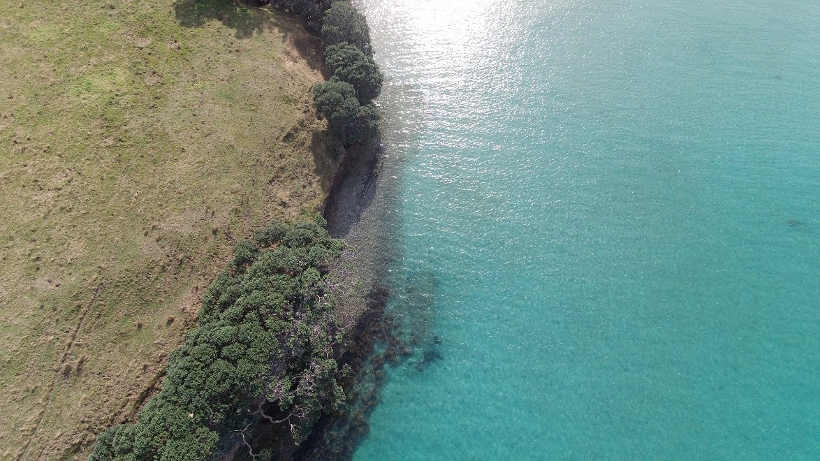 Hauraki Gulf Sailing Expedition 13.jpg