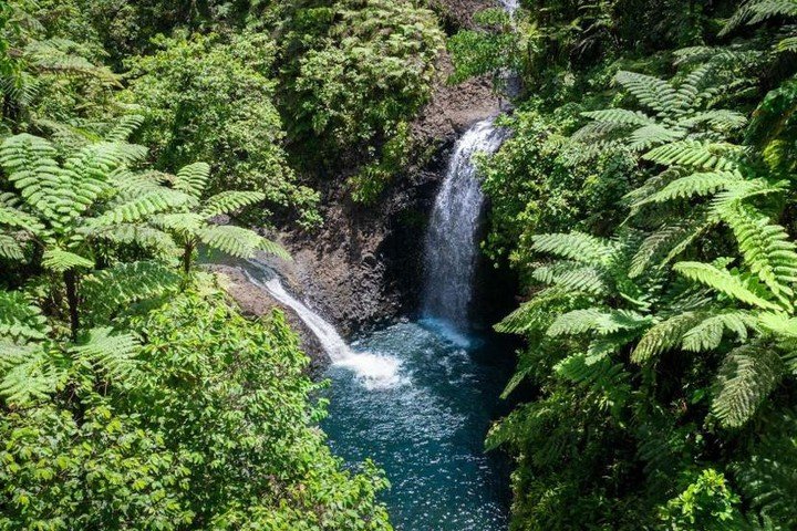 New Event: Taveuni Islands! 🌺⁠
⁠
Join us 22&ndash;31 August 2026 for an unforgettable journey through Fiji&rsquo;s lush north. Think waterfalls, coral gardens, and remote island magic aboard Sea Breeze III.⁠
⁠
📅 Limited cabins available &ndash; boo