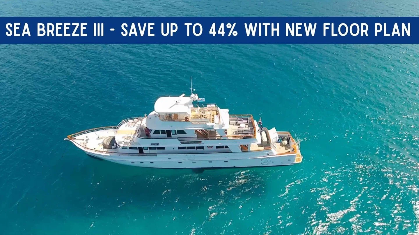 When we purchased Sea Breeze III in 2024, I expected it to be a tough first 12 months, but not this tough. Sometimes the big break throughs only happen, when something is just not working. It forces you to take the time, to understand the problem and