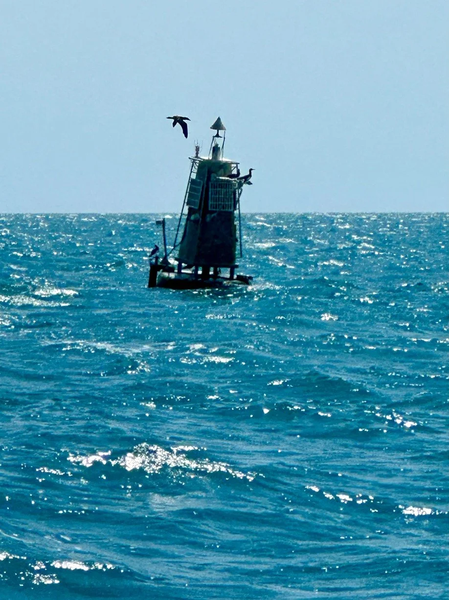 Australian Expedition 2026 Sail Around Australia 174.jpg