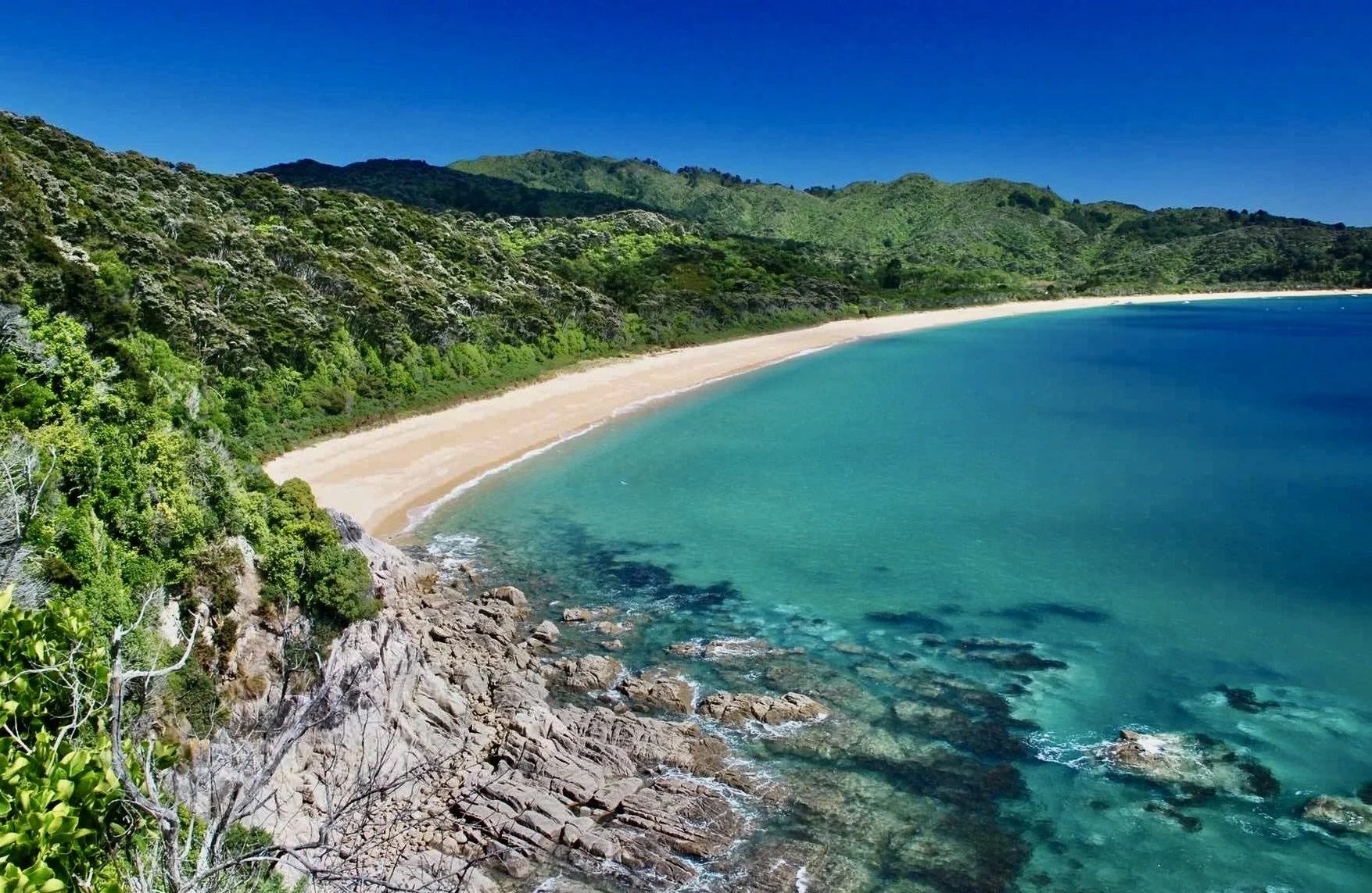 Stewart Island Circumnavigation 2024 — Ocean Sailing Expeditions