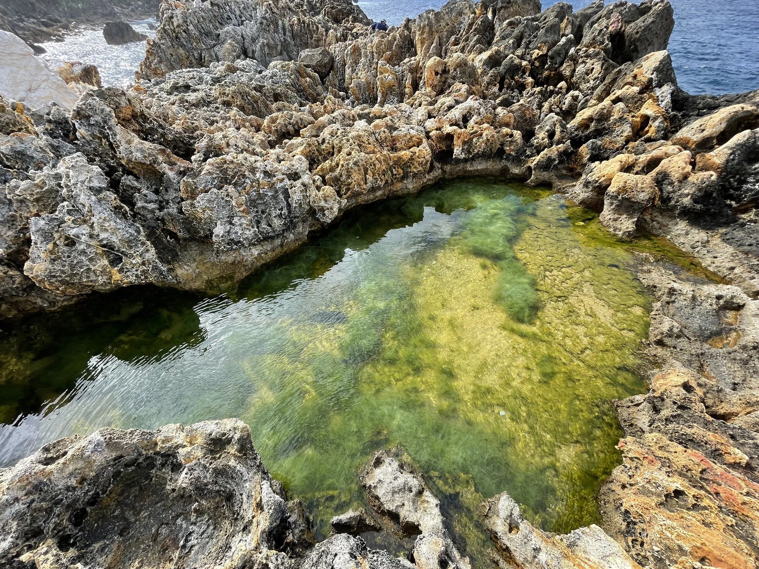Cruise the Islands of the Hauraki Gulf, New Zealand, by 72foot yacht