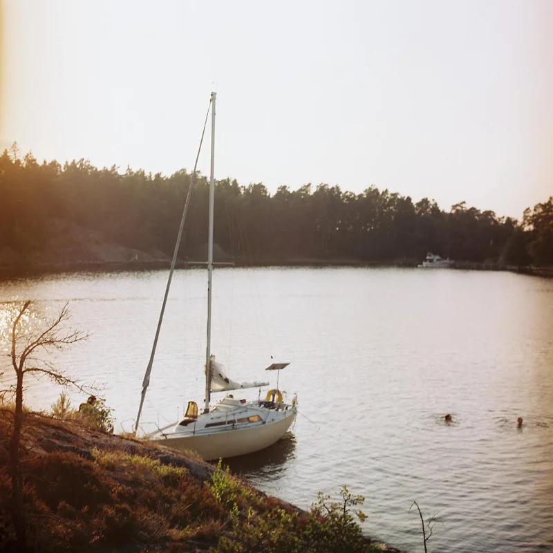 Sweden on Film, 2013
