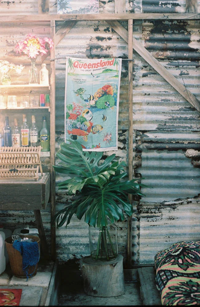 000016-1.jpg
